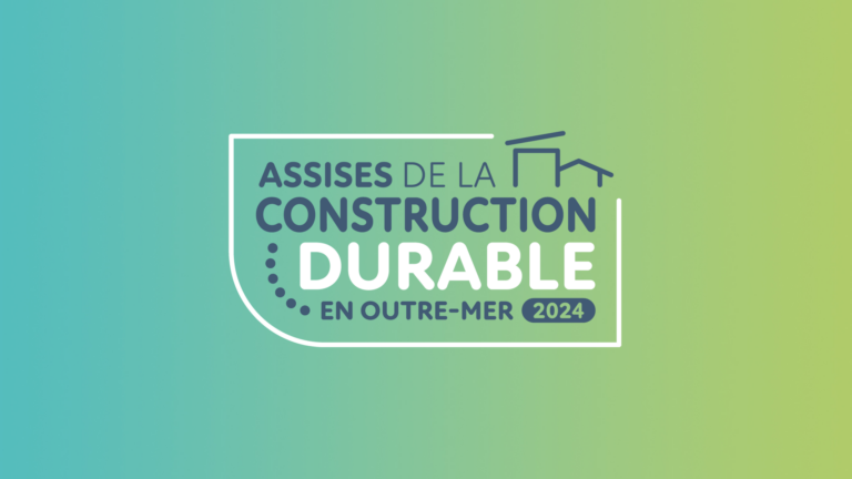 Normes et innovations en outre-mer – Retours sur les webmaster classes