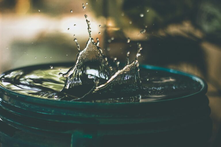 De nouvelles opportunités pour l’utilisation d’eau non potable dans l’habitat